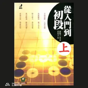 从初学者到第一丹 (上)-10% 关闭!/聂卫平编著，中国围棋圣人/围棋