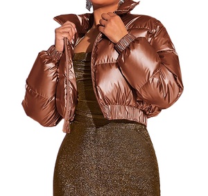 Vestes courtes bouffantes pour femmes élégant à la mode chaud rempli de duvet manteaux d'hiver vente en vrac fermeture éclair vestes bouffantes - Product Image 1