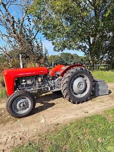รถแทรกเตอร์ดีเซลแท้ Massey Ferguson MF 35 ปี 1958 ใหม่และมือสอง สำหรับฟาร์มขนาดเล็ก สวนผลไม้ และงานสวน - Product Image 3