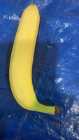 Verse Cavendish Bananen (GMO & Biologisch) Groothandelslevering voor Export en Detailhandel Premium Zoete Bananen van Uitstekende Kwaliteit