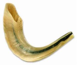 เขาควายธรรมชาติสำหรับเป่าและใช้ในพิธีกรรมทางศาสนา ขายดี ขนาดสั่งทำได้ โคเชอร์ ขัดเงา ผลิตจากอิสราเอล - Product Image 6