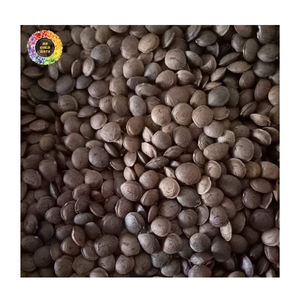 Semillas de Sacha Inchi Crudas de Alta Calidad al por Mayor, Suministro a Granel de Granos con Sabor a Nuez, Salida de Fábrica, Suministro de Fábrica de Semillas de Sacha Inchi - Product Image 2