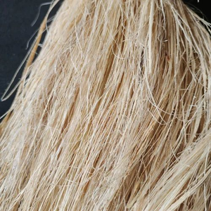 MATIÈRE PREMIÈRE EN FIBRE DE BANANE/POLYVALENT POUR LES TEXTILES ET LE PAPIER/MADE IN VIETNAM - Product Image 6