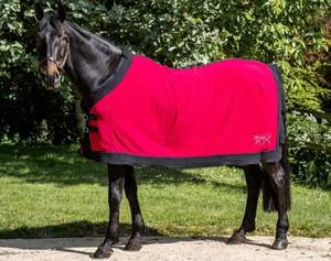 Alfombra de caballo ecuestre de alta calidad del fabricante para carreras, cubiertas de invierno y verano, opciones de relleno de algodón polar de tela - Product Image 6