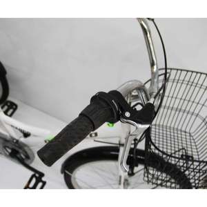Bicicleta de Carga Blanca Dorello 2060 con Ruedas de 20 Pulgadas y Horquilla de Aluminio, Modelo de Mercado con Cesta de 3 Ruedas y Una Sola Velocidad - Product Image 3