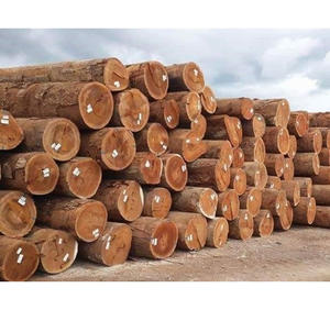 Bûches de pin de qualité supérieure avec des règles de calibrage strictes pour la conformité aux normes européennes et internationales du bois. - Product Image 2