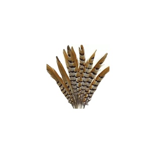 Fourniture en vrac Fournisseurs de plumes de couette en duvet d'oie blanche de qualité supérieure Vente en gros - Product Image 1