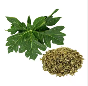 Vente en gros de feuilles de papaye séchées qualité supérieure bon marché feuille de papaye séchée fournie du Vietnam - Product Image 6