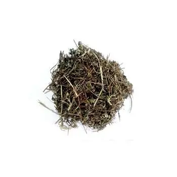 Quality Assured Condiment Seasoning Bhringraj Herb Wholesale Price Organic Bhringraj Herb Available from India