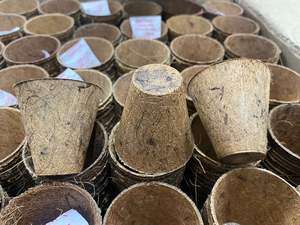 Tasses en fibre de coco Gobelets en fibre de coco biodégradables naturels Graines de coco Starter Semis fleur - Product Image 4