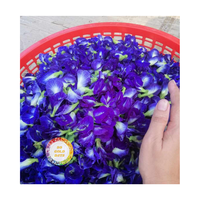 THÉ DE FLEURS DE POIS DE PAPILLON SÉCHÉ VIETNAMIEN EN GROS MEILLEUR PRIX ET QUALITÉ SUPÉRIEURE POUR LE MARCHÉ MONDIAL