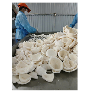 Noix de coco congelée authentique du Vietnam sélectionnée à la main, stérilisée et emballée avec assurance qualité pour un stockage à long terme - Product Image 5