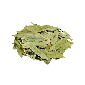 Relleno nutricional de alta calidad al por mayor Senna hojas secas sueltas té de hierbas utilizado para problemas digestivos gastrointestinales