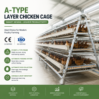 Système de cages automatiques pour poulets – Cage à batterie pour élevage avicole – Équipement commercial pour poules pondeuses
