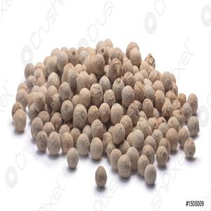 Venta a granel de pimienta blanca de alta calidad - Product Image 5