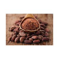 Fèves de cacao torréfiées de qualité supérieure (Cacao) Variété Criollo du Canada Grade A 0,85 kg Naturelles