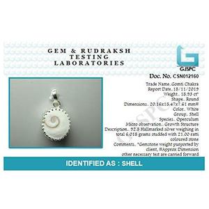 Arihant Gems & Jewels - Colgante Astrológico de Plata con Diseño de Bisel y Gomti Chakra Natural y Certificado para Hombre 3 - Product Image 5