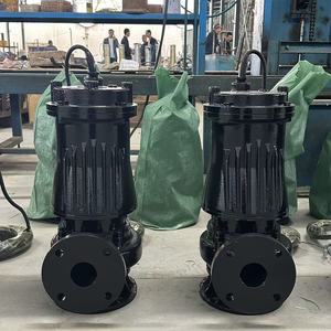 Cast Iron Sewage Transfer <b>Pump</b> for Sewage Treatment System - Product Image 2