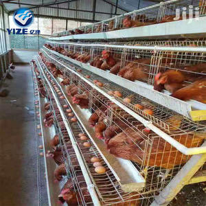 Poulailler pour poules et coqs de grande taille, cage à poulets en maille, meilleur poulailler, abri pour poulets à vendre, <span class=keywords><strong>nid</strong></span> - Product Image 3