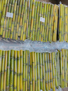 Palo de caña de azúcar congelado con etiqueta limpia, suministro de exportación sostenible para batidos, bebidas desintoxicantes, jugos prensados en frío e industria alimentaria - Product Image 3