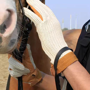 100% Top haute qualité vêtements d'hiver séchage rapide équitation gants en cuir/personnalisé imperméable équitation gants en cuir - Product Image 5