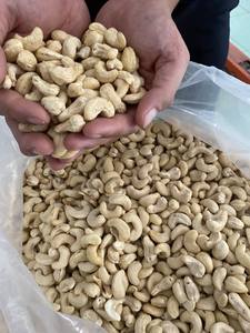 เม็ดมะม่วงหิมพานต์จากเวียดนาม W240 W320 - Product Image 3