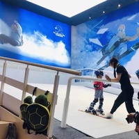 Simulateur commercial Simulateur de ski d'intérieur de ski de pente sans fin pour l'entraînement