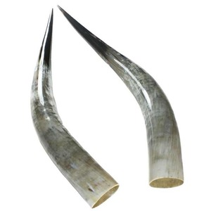 Corne à boire Viking polie de haute qualité de style nautique pour l'utilisation de restaurant d'hôtel à la maison excellente valeur à bas prix - Product Image 1