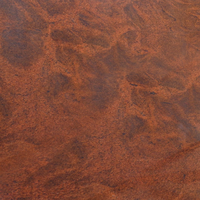 Dalle de granit rouge Paradiso multicolore polie Tuile et pierre tombale de conception moderne