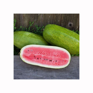 Sandía de pulpa roja, fruta jugosa fresca de primera calidad para mercados mayoristas, hoteles, restaurantes y tiendas - Product Image 2