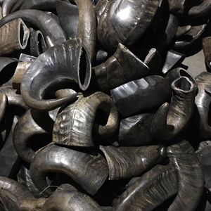 Top Dog Chews, Cuernos de Bully Naturales de Res, Alimento Seco, Alto en Proteínas, Salud Articular para Razas Gigantes a Bajo Precio, Hecho en India - Product Image 2