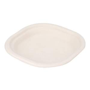 Platos de caña de azúcar de forma cuadrada desechables Thali impreso de bajo precio para servir comida para servir hojas de sal y plato de arroz - Product Image 6