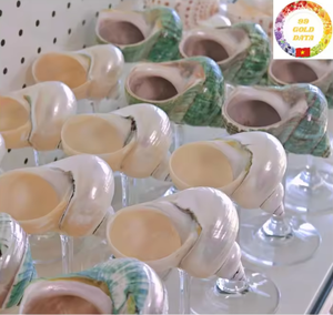 Gobelet en coquillage naturel fait à la main décoratif verre à vin vaisselle écologique artisanat en gros - Product Image 3