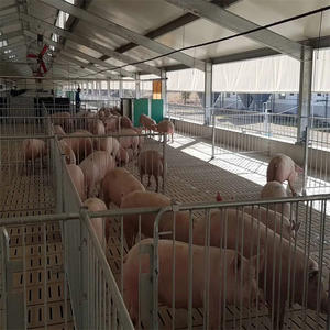 <span class=keywords><strong>Abri</strong></span> pour le bétail Hangar pour ferme laitière Hangars préfabriqués pour l'élevage de moutons et de chèvres Hangars pour bétail vivant - Product Image 4