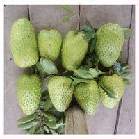 Hele Zuurzak Fruit