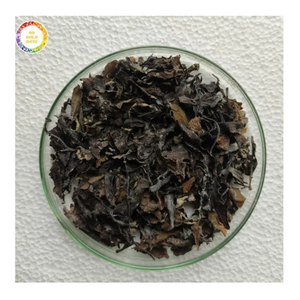 Algues sargasses séchées de haute qualité pour les entrées agricoles biologiques et les solutions d'agriculture écologique - Product Image 1