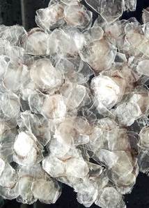 PRODUIT CHAUD DU VIETNAM ÉCHELLE DE POISSON EN VRAC AVEC BON PRIX - Product Image 5