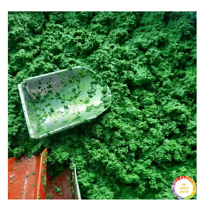 Hoja de Yuca Congelada de Alto Estándar de Vietnam, Hoja de Yuca Fresca y Limpia Congelada para Sopas, Cocina Africana con Ofertas Atractivas - Product Image 1