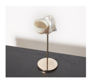 Taza de concha marina hecha a mano para configuración de fiestas tropicales, exhibición de barra de Resort y arreglos de caja de regalo costera - Product Image 1