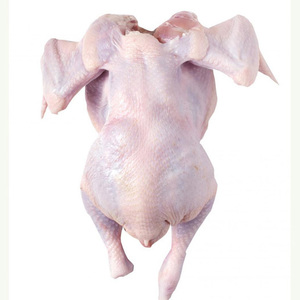 Pollo entero Halal congelado Más vendido Grado superior Alta calidad Precio bajo Aves de Corral frescas Carne de pollo entera congelada - Product Image 6