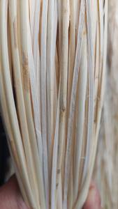 Peau de rotin du Vietnam de haute qualité 2024, prix usine artisanal, produits en matériau de rotin 99 Gold Data Vivia - Product Image 4