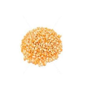 ข้าวโพดหวานสีเหลืองอบแห้งสำหรับอาหารสัตว์และนกอาหารข้าวโพดสด - Product Image 6