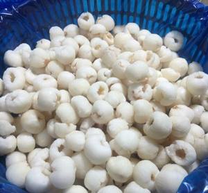 El proveedor agrícola confiable de Vietnam ofrece lichi congelado IQF a buen precio - Product Image 3