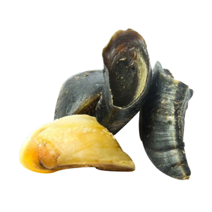 Snacks de Cuerno de Búfalo TIMELESS CRAFT, Ecológicos, Hechos a Mano, Naturales, Crujientes, Masticables, Hipoalergénicos, para la Salud de las Mascotas - Product Image 4