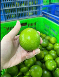 Limón Verde sin Semillas de Vietnam, Exportación de Cítricos - Product Image 6