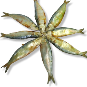 ARENQUE SECO - MARISCOS SECADOS NATURALMENTE, IDEAL PARA EL PROCESAMIENTO DE ALIMENTOS - Product Image 1