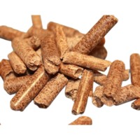 Granulés de bois d'acacia biomasse de haute qualité à prix abordable, sacs PE de 25 kg, longueur 10-40 mm, combustible pour système de chauffage, usine du Vietnam