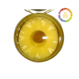 Morceaux d'ananas en conserve 20oz 580ml Qualité d'exportation supérieure Goût délicieux Longue durée de conservation Fournisseur pour les chaînes de supermarchés - Product Image 1