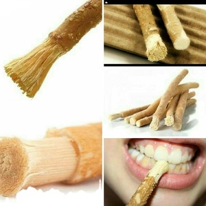 Bâtonnet de nettoyage dentaire à base de plantes de qualité supérieure, Miswak/Meswak naturel, brosse à dents pour l'hygiène bucco-dentaire, pour la maison et les voyages - Product Image 4