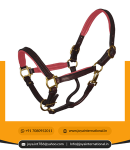 Vente en gros de licou de cheval en cuir rembourré souple de sécurité équipement d'entraînement de cheval mignon et joli harnais de cheval intelligent - Product Image 6